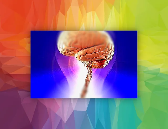 Cerebro dentro de una bombilla representando ideas e innovación