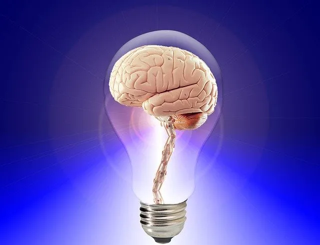Neurobiología de la Ansiedad
